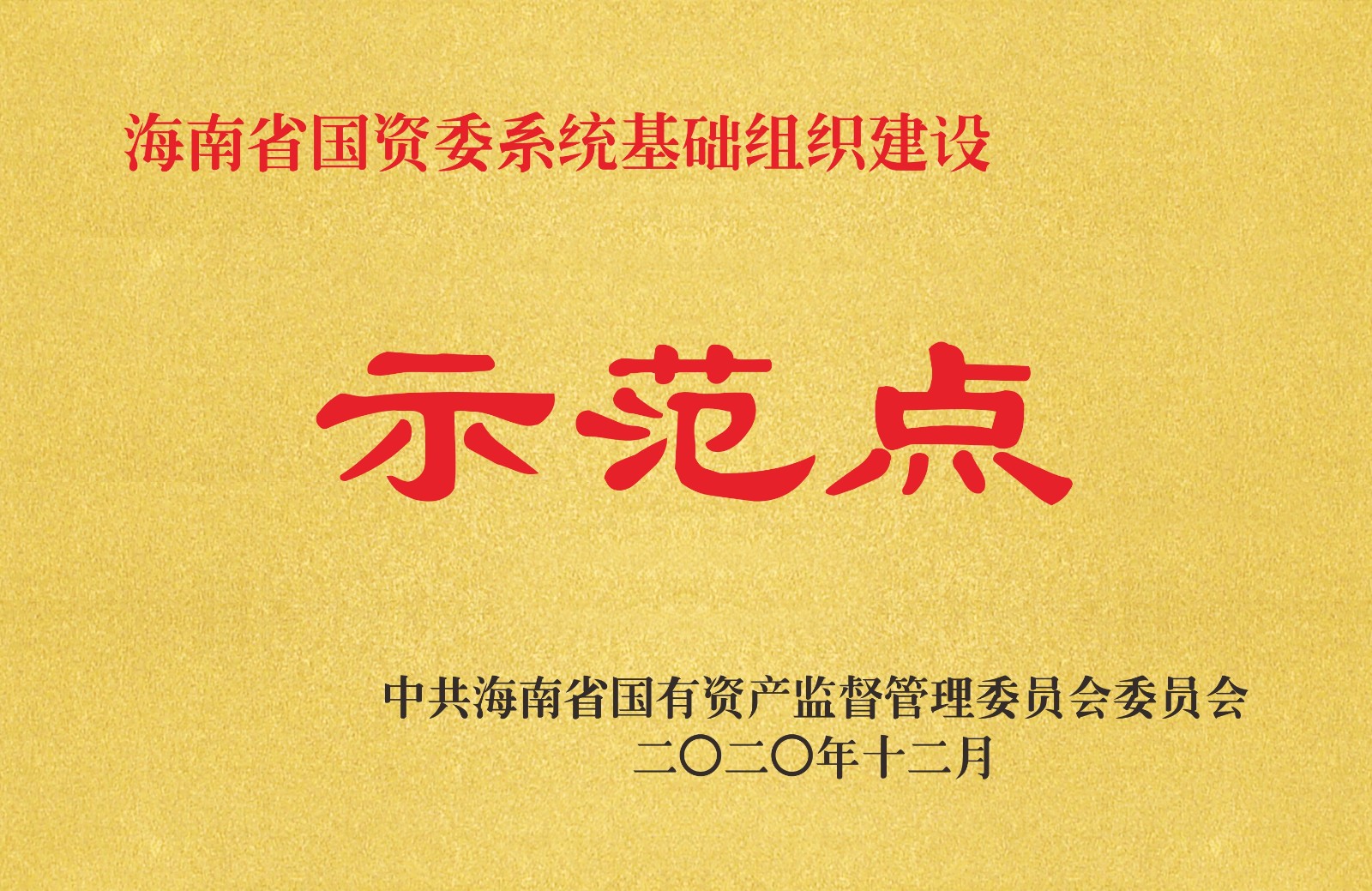 海南省国资委系统基础组织建设示范点.jpg